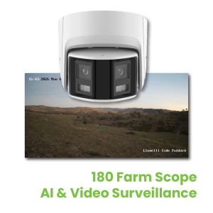 video surveillance