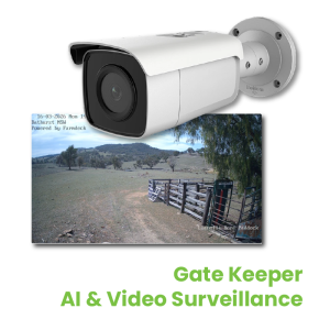 video surveillance camera