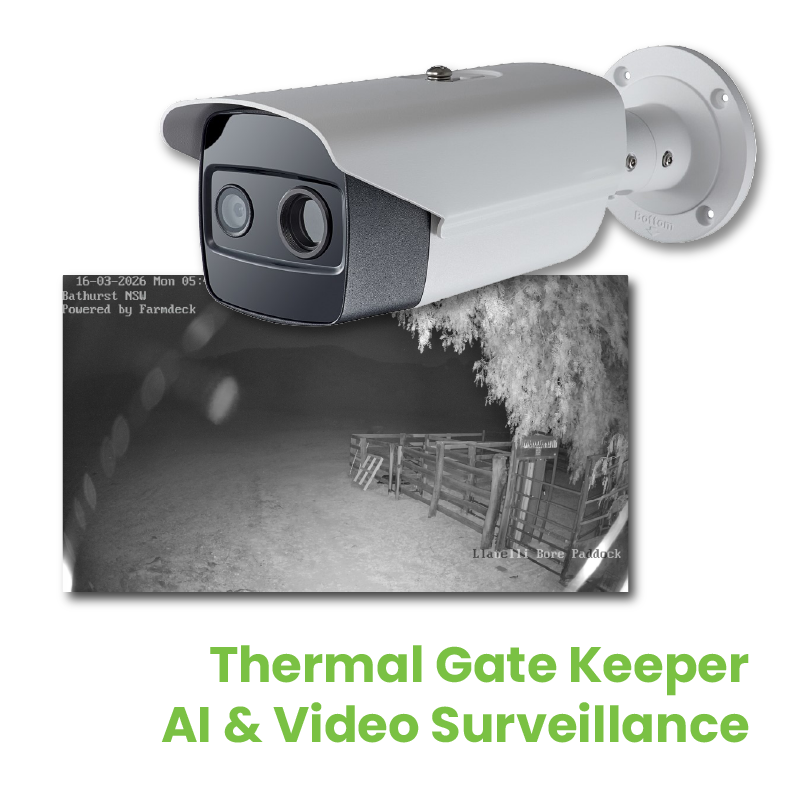 video surveillance thermal camera
