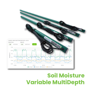 soil moisture