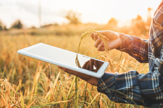 Choosing the right connectivity option for your farm