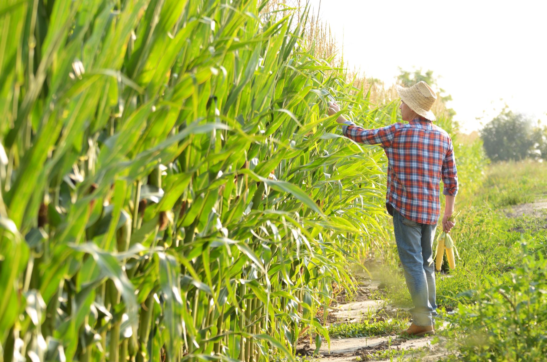 Creating a safe work environment for farmhands