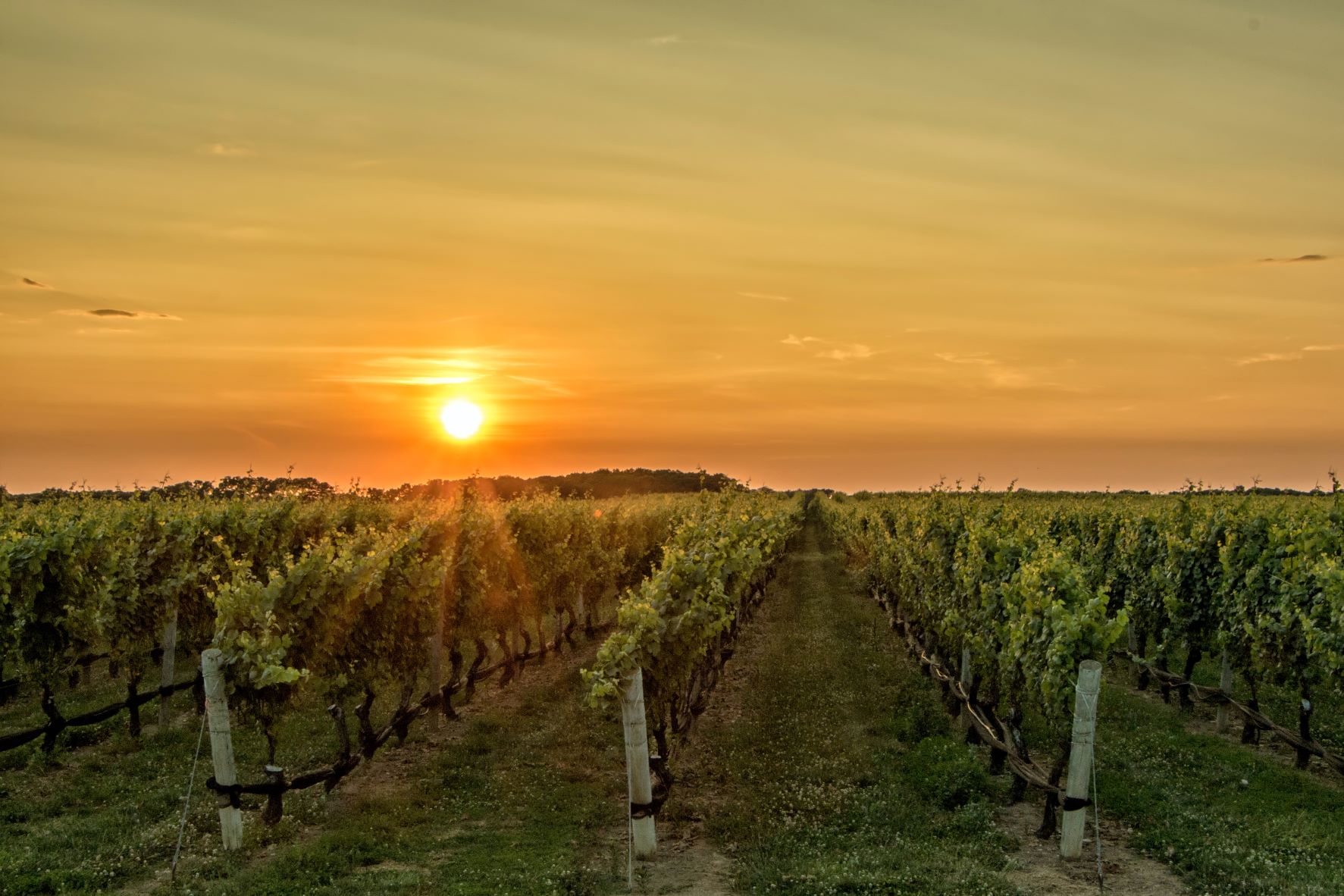 carbon farming;