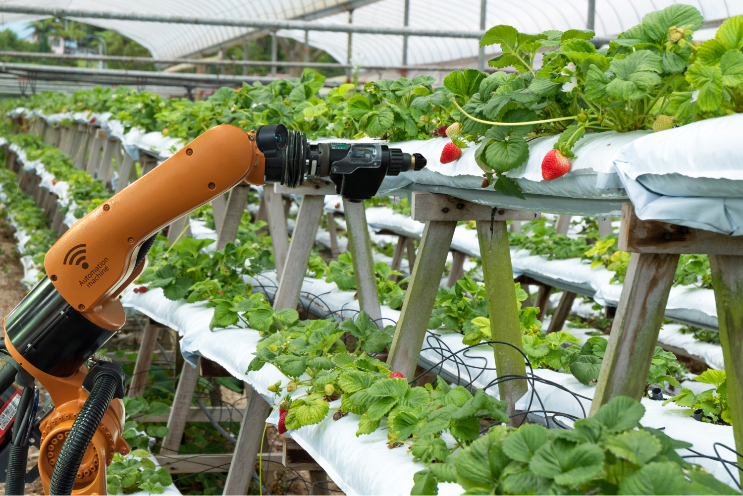 Vertical Farming Automation;