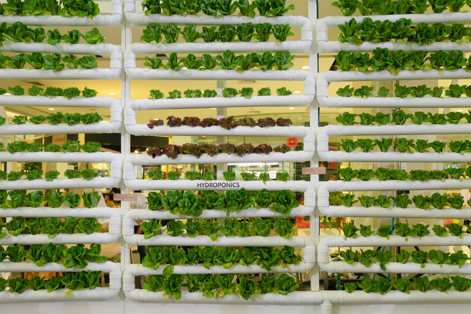 Vertical Farm;