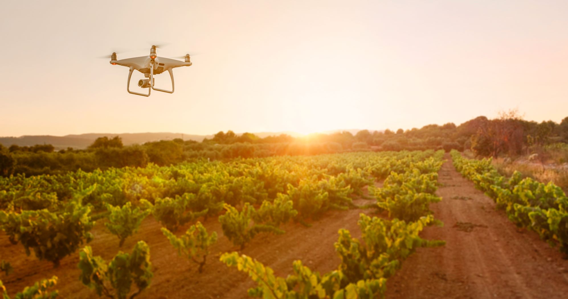 Agricultural drones;