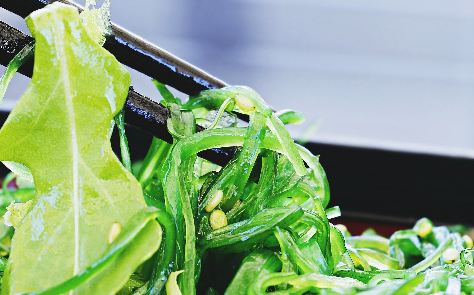 seaweed salad;