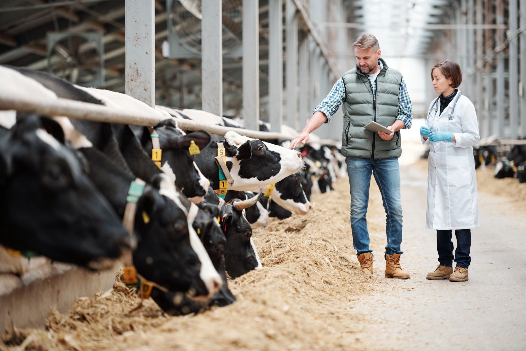 on-farm biosecurity;