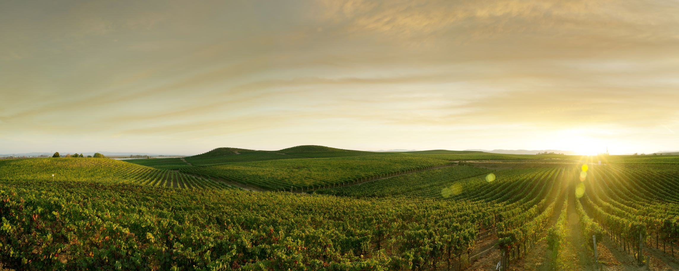 Smart farming optimising farm operations