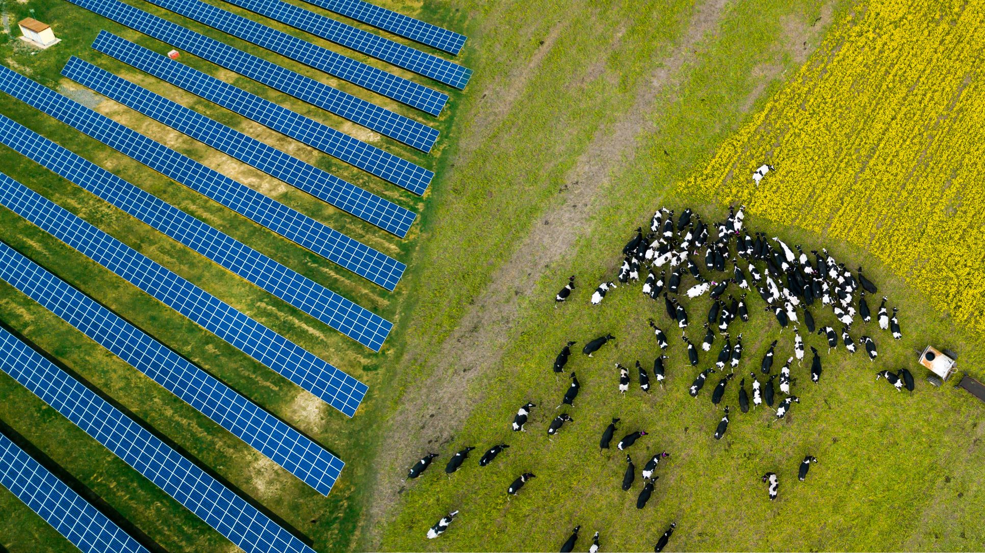 Agriculture sector powering ahead with solar energy