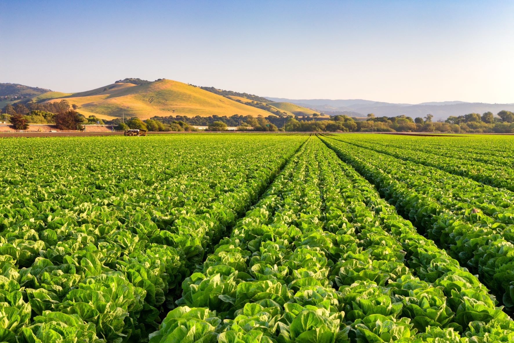 Agtech creating a smarter, cost-effective, sustainable agriculture sector