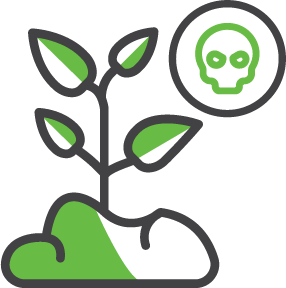 Weed Detection and monitoring