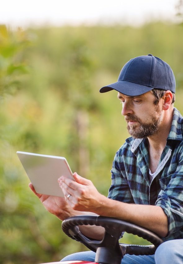 A mature farmer with tablet sitting on mini tractor outdoors in orchard.