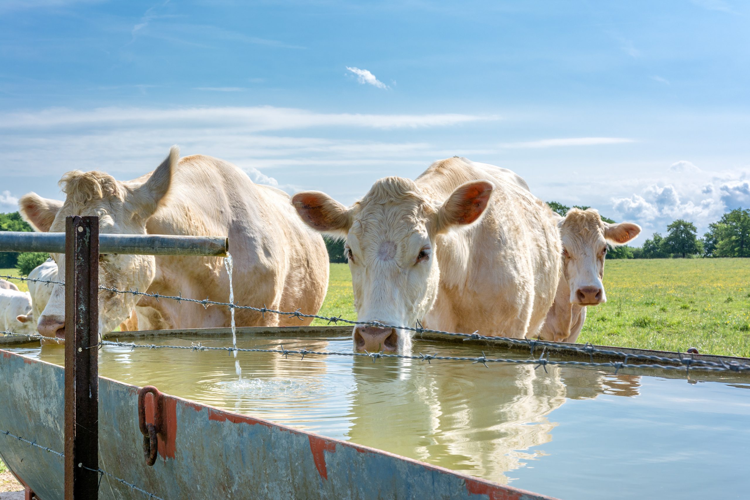 The Vital Role of Water Monitoring for Farms in Australia