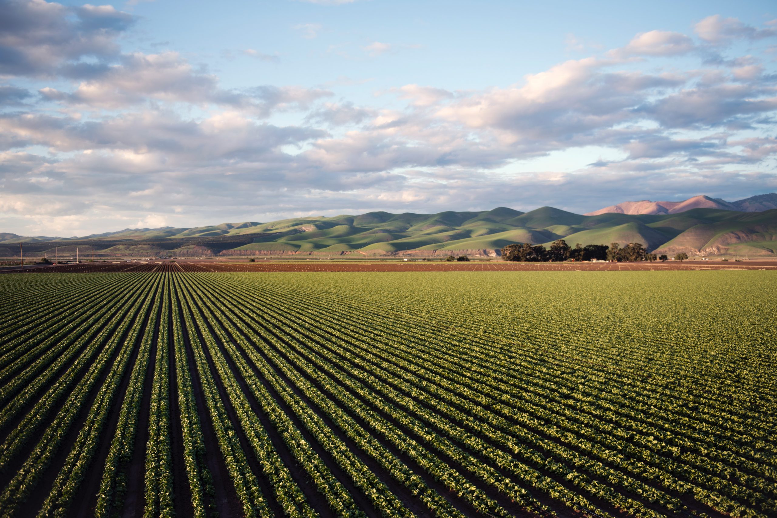 Farm crops water;