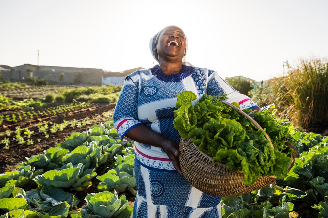 Agrifinancing-Innovation-Programme;