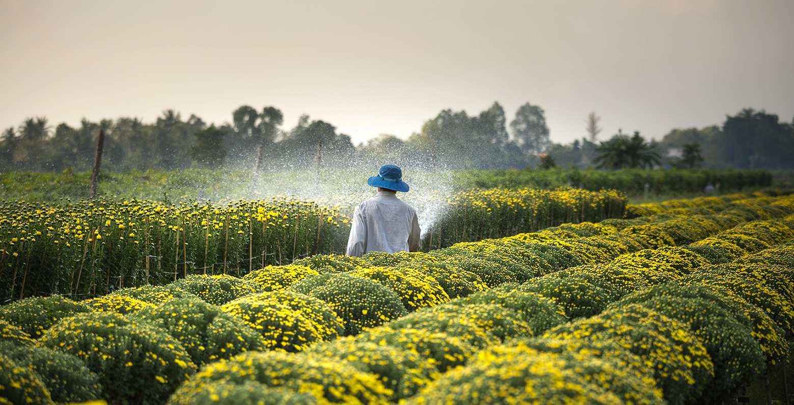 Empowering Farmers for Efficient Water Management